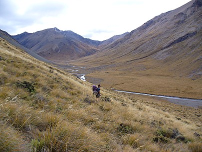 Ag P 1010126
;&nbsp;Metadata time: '2006 Apr 22 09:51'
Original size:&nbsp;2,304 x 1,728; 1,126 kB
Filename: agP1010126.jpeg