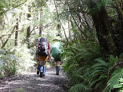 day01-110-dsc00417-jrs.jpeg: 2048x1536, 806k (2006 Dec 22 13:29)