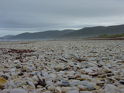 day03-070-dsc00428-jrs.jpeg: 2048x1536, 813k (2006 Dec 22 13:38)