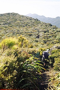 day03-112-073_013-bew.jpeg: 1024x1544, 393k (2007 Jan 02 11:10)