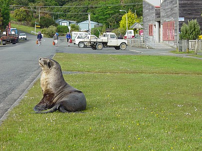 day09-030-dsc00472-jrs.jpeg: 2048x1536, 801k (2006 Dec 22 13:53)