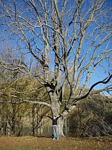 
2007-06-01&nbsp;15.20.48
Original size:&nbsp;600 x 800; 99 kB
Filename: 2007-06-01 15.20.48 P6010020.jpeg