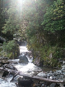 2010-04-21 09.48.18 100_0478 Alan.jpeg: 2748x3664, 1889k (2010 May 22 22:04)