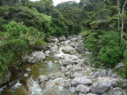 Up a River
Photographer;&nbsp;Simon
2011-01-23&nbsp;11.54.44;&nbsp;Metadata time: '2011 Jan 23 11:54'
Original size:&nbsp;4,000 x 3,000; 7,013 kB
Filename: 2011-01-23 11.54.44 P1010967 Simon Up a River.jpeg