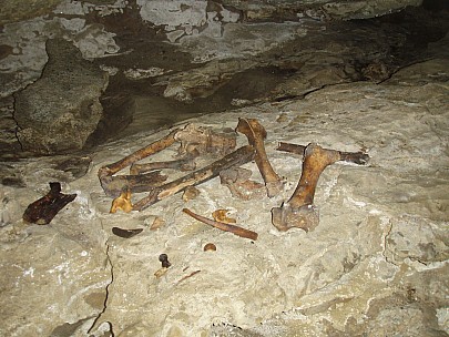 Bone
Photographer;&nbsp;Sian
2011-01-28&nbsp;11.21.14;&nbsp;Metadata time: '2011 Jan 28 11:21'
Original size:&nbsp;3,072 x 2,304; 2,988 kB
Filename: 2011-01-28 11.21.14 P1284590 Sian bone.jpeg