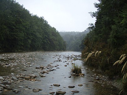 2011-01-29 11.37.14 P1294602 Sian Gunner river.jpeg: 3072x2304, 2941k (2011 Jan 29 11:37)