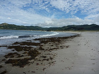 Medlands Beach
Photographer;&nbsp;Simon
2012-12-28&nbsp;17.13.27;&nbsp;Metadata time: '2012 Dec 28 17:13'
Original size:&nbsp;4,000 x 3,000; 5,606 kB
Filename: 2012-12-28 17.13.27 P1040473 Simon - Medlands Beach.jpeg