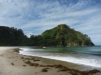 Medlands Beach Sugar Loaf
Photographer;&nbsp;Simon
2012-12-28&nbsp;17.13.59;&nbsp;Metadata time: '2012 Dec 28 17:13'
Original size:&nbsp;4,000 x 3,000; 5,771 kB
Filename: 2012-12-28 17.13.59 P1040475 Simon - Medlands Beach Sugar Loaf.jpeg