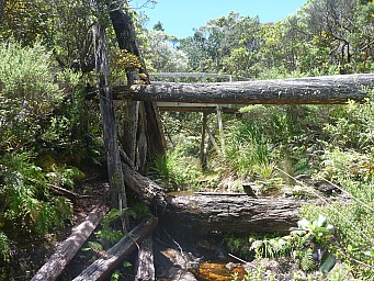 Top Kauri dam
Photographer;&nbsp;Simon
2012-12-29&nbsp;13.09.08;&nbsp;Metadata time: '2012 Dec 29 13:09'
Original size:&nbsp;4,000 x 3,000; 7,261 kB
Filename: 2012-12-29 13.09.08 P1040496 Simon - Top Kauri dam.jpeg