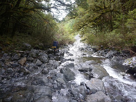 At the Tutaekuri River
Photo: Simon
2013-04-22 12.51.53; '2013 Apr 22 12:51'
Original size: 4,000 x 3,000; 6,953 kB
2013-04-22 12.51.53 P1050044 Simon - At the Tutaekuri River.jpeg