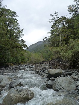 Looking back up Tutaekuri River
Photo: Philip
2013-04-22 14.13.10; '2013 Apr 22 14:13'
Original size: 3,240 x 4,320; 5,046 kB
2013-04-22 14.13.10 P1020071 Philip - Looking back up Tutaekuri River.jpeg