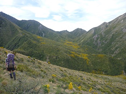 2013-11-15 16.02.32 P1050344 Simon - sidling above the Conway River.jpeg: 4000x3000, 6328k (2013 Nov 15 16:02)