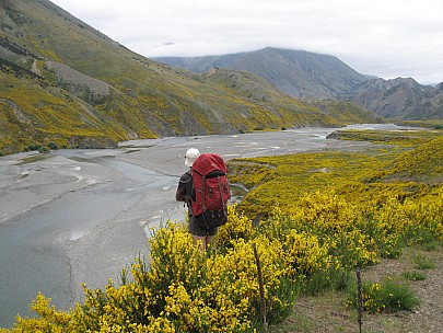 Looking down Clarence
Photographer;&nbsp;Brian
2013-11-17&nbsp;08.37.57;&nbsp;Metadata time: '2013 Nov 17 08:37'
Original size:&nbsp;3,072 x 2,304; 1,218 kB
Filename: 2013-11-17 08.37.57 IMG_2988 Brian - looking down Clarence.jpeg