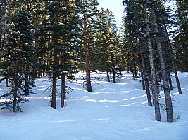 Winter Park
Photographer;&nbsp;Jim
2014-01-23&nbsp;12.05.05;&nbsp;Metadata time: '2014 Jan 23 12:05'
Original size:&nbsp;4,320 x 3,240; 5,144 kB
Filename: 2014-01-23 12.05.05 P1000458 Jim - Winter Park.jpeg