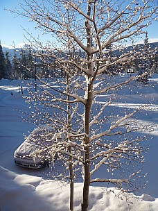 Dillon view from Condo
Photographer;&nbsp;Jim
2014-01-28&nbsp;08.01.22;&nbsp;Metadata time: '2014 Jan 28 08:01'
Original size:&nbsp;3,240 x 4,320; 5,053 kB
Filename: 2014-01-28 08.01.22 P1000491 Jim - Dillon view from Condo.jpeg