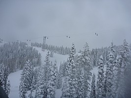 2014-01-31 14.23.05 P1000269 Simon - view of Gondola.jpeg: 4000x3000, 5115k (2014 Feb 01 10:23)