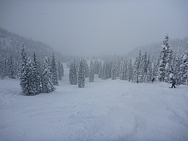 In Green Cabin run
Photographer;&nbsp;Simon
2014-02-01&nbsp;15.27.20;&nbsp;Metadata time: '2014 Feb 01 15:27'
Original size:&nbsp;4,000 x 3,000; 4,712 kB
Filename: 2014-02-01 15.27.20 P1000281 Simon - in Green Cabin run.jpeg