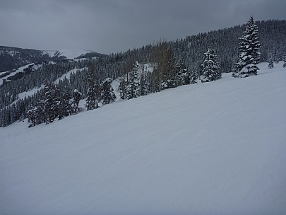 2014-02-06 14.12.56 P1000403 Simon - Larskpur and Grouse Mountain behind.jpeg: 4000x3000, 4888k (2014 Feb 07 10:12)