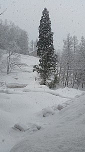 Alupu Lodge - outside bedroom
Photographer;&nbsp;Jim
2015-02-18&nbsp;08.22.55;&nbsp;Metadata time: '2015 Feb 18 08:22'
Original size:&nbsp;2,976 x 5,312; 5,096 kB
Filename: 2015-02-18 08.22.55 Jim - Alupu Lodge - outside bedroom.jpeg