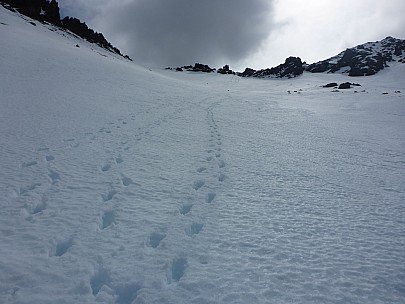 Footsteps Back Up Snow Slope
Photographer;&nbsp;Simon
2015-10-03&nbsp;14.25.41;&nbsp;Metadata time: '2015 Oct 03 14:25'
Original size:&nbsp;4,608 x 3,456; 6,040 kB
Filename: 2015-10-03 14.25.41 P1000222 Simon - footsteps back up snow slope.jpeg