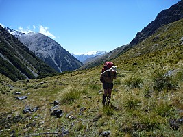Southern South Branch Temple Stream