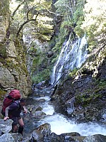 Southern South Branch Temple Stream