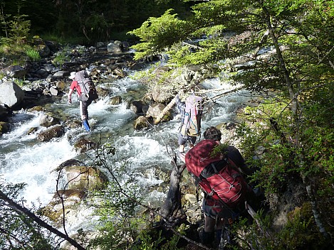 2016-01-04 09.05.54 P1040057 Philip - crossing Southern South Branch Temple Stream.jpeg: 4320x3240, 5719k (2016 Jan 04 09:05)