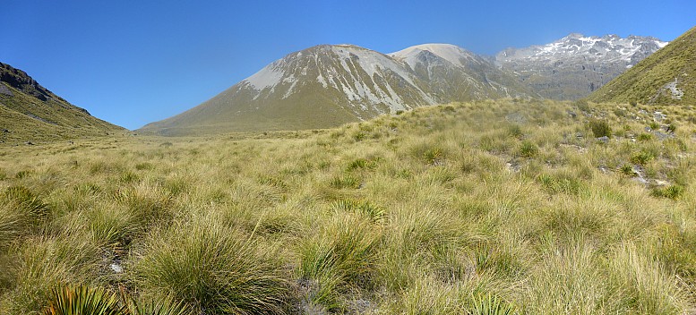 2016-01-06 10.19.35 Panorama Simon - Upper Maitland Stream to saddle_stitch.jpg: 7265x3292, 27807k (2016 Jan 11 22:02)