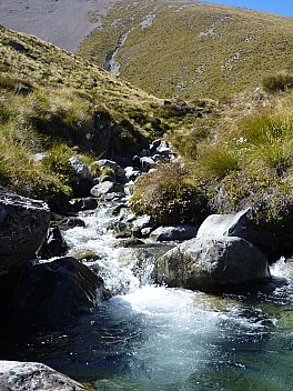 2016-01-06 10.56.39 P1040100 Philip - fresh clear upper Maitland Stream waters.jpeg: 3240x4320, 4968k (2016 Jan 06 10:56)