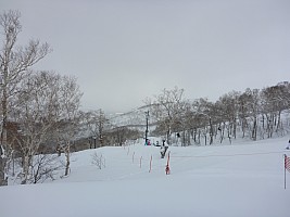 Skiing Niseko