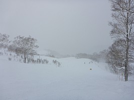 Skiing Niseko