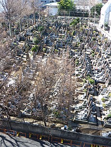 2016-03-01 09.28.25 P1000726 Simon - view from our window.jpeg: 1088x1440, 809k (2016 Mar 01 09:28)