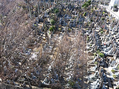 2016-03-01 09.30.07 P1000732 Simon - view from our window.jpeg: 4608x3456, 6429k (2016 Mar 01 09:30)