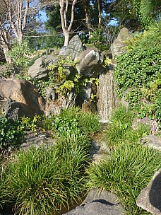 2016-03-01 15.59.12 P1020363 Adrian - garden waterfall.jpeg: 3000x4000, 6017k (2016 Mar 07 22:35)