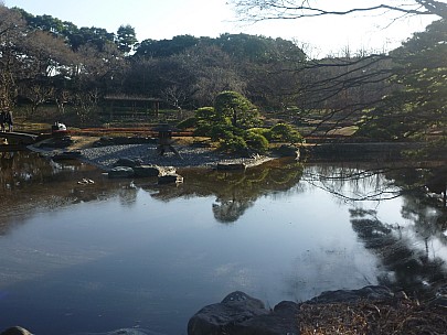 2016-03-01 16.00.19 P1020366 Adrian - garden lake_straight.jpeg: 3135x2351, 3285k (2016 Jun 22 19:52)