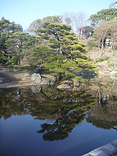 2016-03-01 16.02.29 P1020369 Adrian - lake and tree.jpeg: 3000x4000, 5567k (2016 Mar 07 22:35)