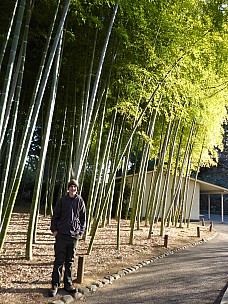 2016-03-01 16.06.41 P1000781 Simon - Adrian and bamboo.jpeg: 3456x4608, 5578k (2016 Mar 01 16:06)