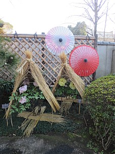 2017-01-11 15.04.40 IMG_8246 Anne - Ueno Toshogu Peony Garden.jpeg: 3456x4608, 5975k (2017 Jan 26 18:34)