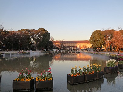 2017-01-11 16.09.38 IMG_8294 Anne - Grand Fountain and Tokyo National Museum.jpeg: 4608x3456, 4917k (2017 Jan 26 18:34)
