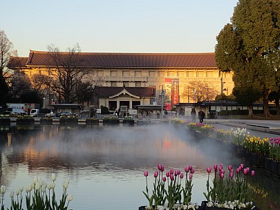 2017-01-11 16.10.13 IMG_8295 Anne - Grand Fountain and Tokyo National Museum.jpeg: 4608x3456, 6237k (2017 Jan 26 18:34)