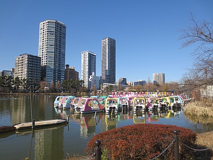 Swan Boats on Boat pond
Photographer;&nbsp;Anne
2017-01-11&nbsp;12.24.54;&nbsp;Metadata time: '2017 Jan 11 12:24'
Original size:&nbsp;4,608 x 3,456; 6,390 kB
Filename: 2017-01-11 12.24.54 IMG_8197 Anne - Swan Boats on Boat pond.jpeg