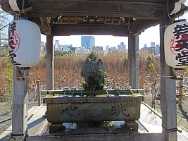 Tōkyō, Ueno