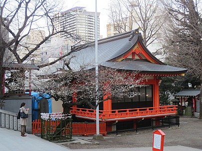 2017-01-12 16.45.09 IMG_8391 Anne - Hanazono Shrine cherry blossom.jpeg: 4608x3456, 6478k (2017 Jan 26 18:34)