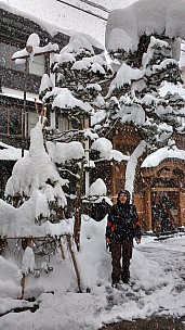 2017-01-14 12.11.55 IMG_20170114_121155225_HDR Simon - outside in the snow.jpeg: 2340x4160, 2048k (2017 Jan 14 16:15)