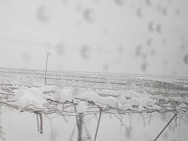 Nozawa Onsen, Jigokudani