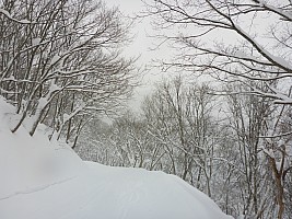 Nozawa Onsen