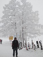 Nozawa Onsen