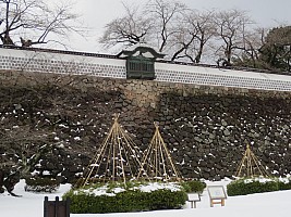 Nozawa Onsen, Kanazawa, Madarao