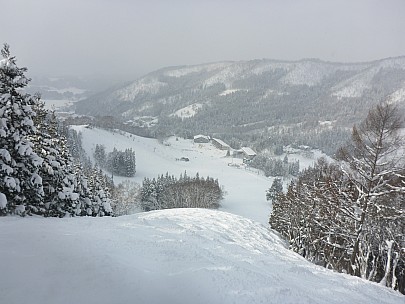 2017-01-19 12.47.33 P1010446 Simon - looking down Kurokura course.jpeg: 4608x3456, 6189k (2017 Jan 29 10:22)