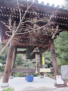 2017-01-21 16.20.59 IMG_9135 Anne - temple bell.jpeg: 3456x4608, 6503k (2017 Jan 26 18:36)